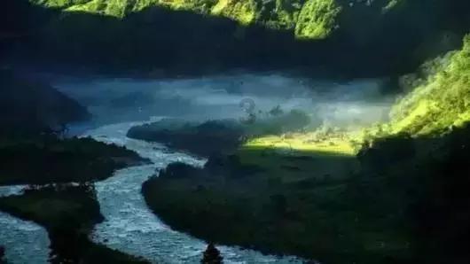 僵尸顶顶乐